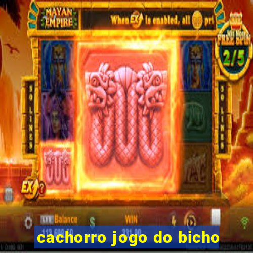 cachorro jogo do bicho